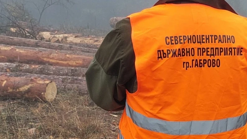 Над 32 000 проверки са извършили горските от „Северноцентрално държавно предприятие“ ДП през 2021 г