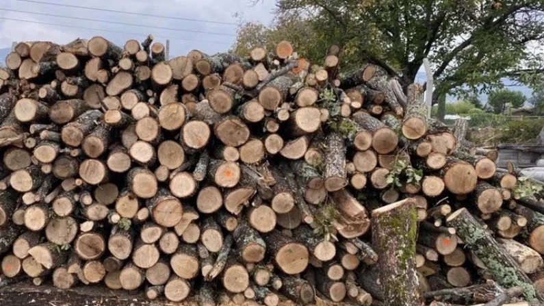 Два случая на незаконни дърва в имоти в Звенимир